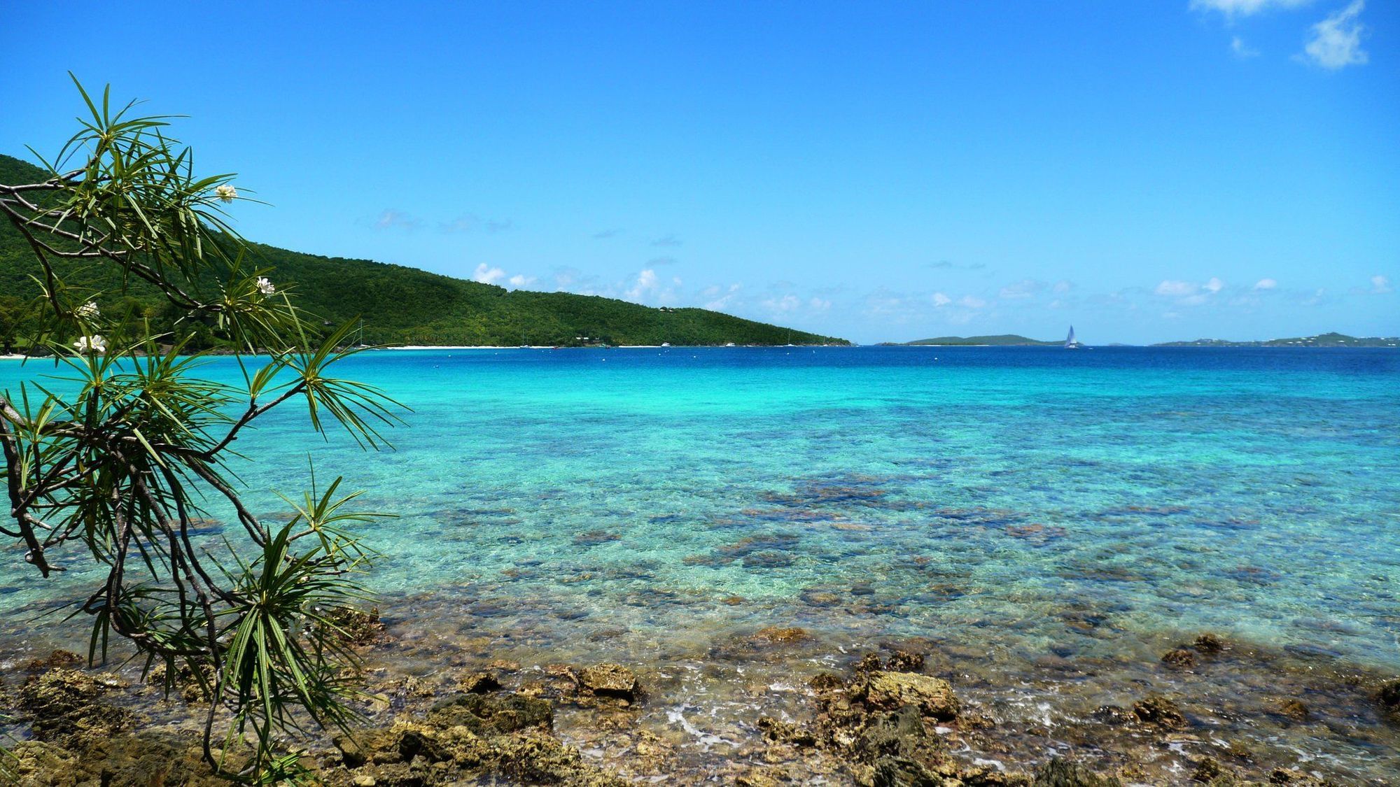 Caneel Bay Resort Cruz Bay المرافق الصورة