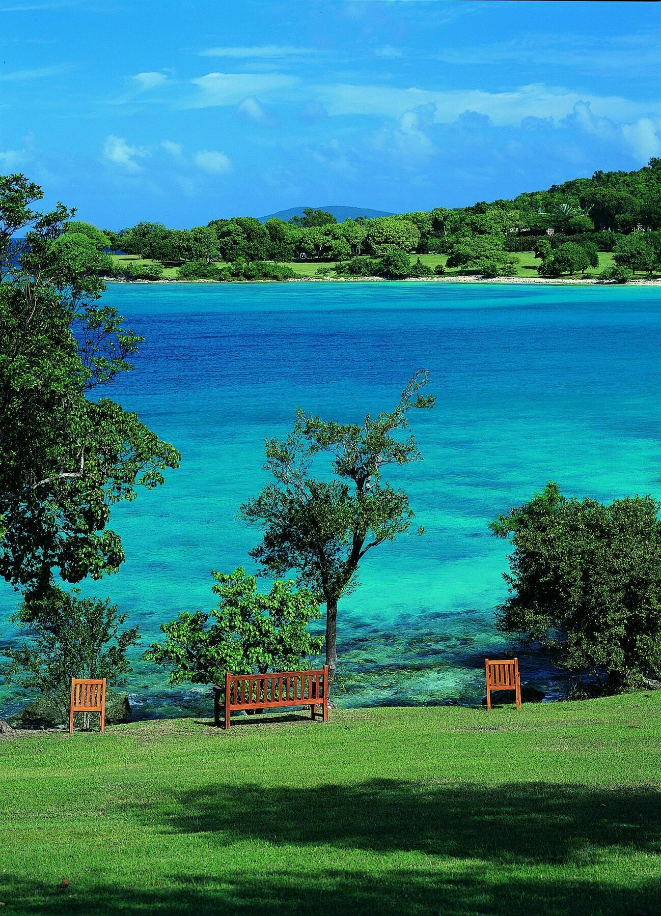 Caneel Bay Resort Cruz Bay المرافق الصورة