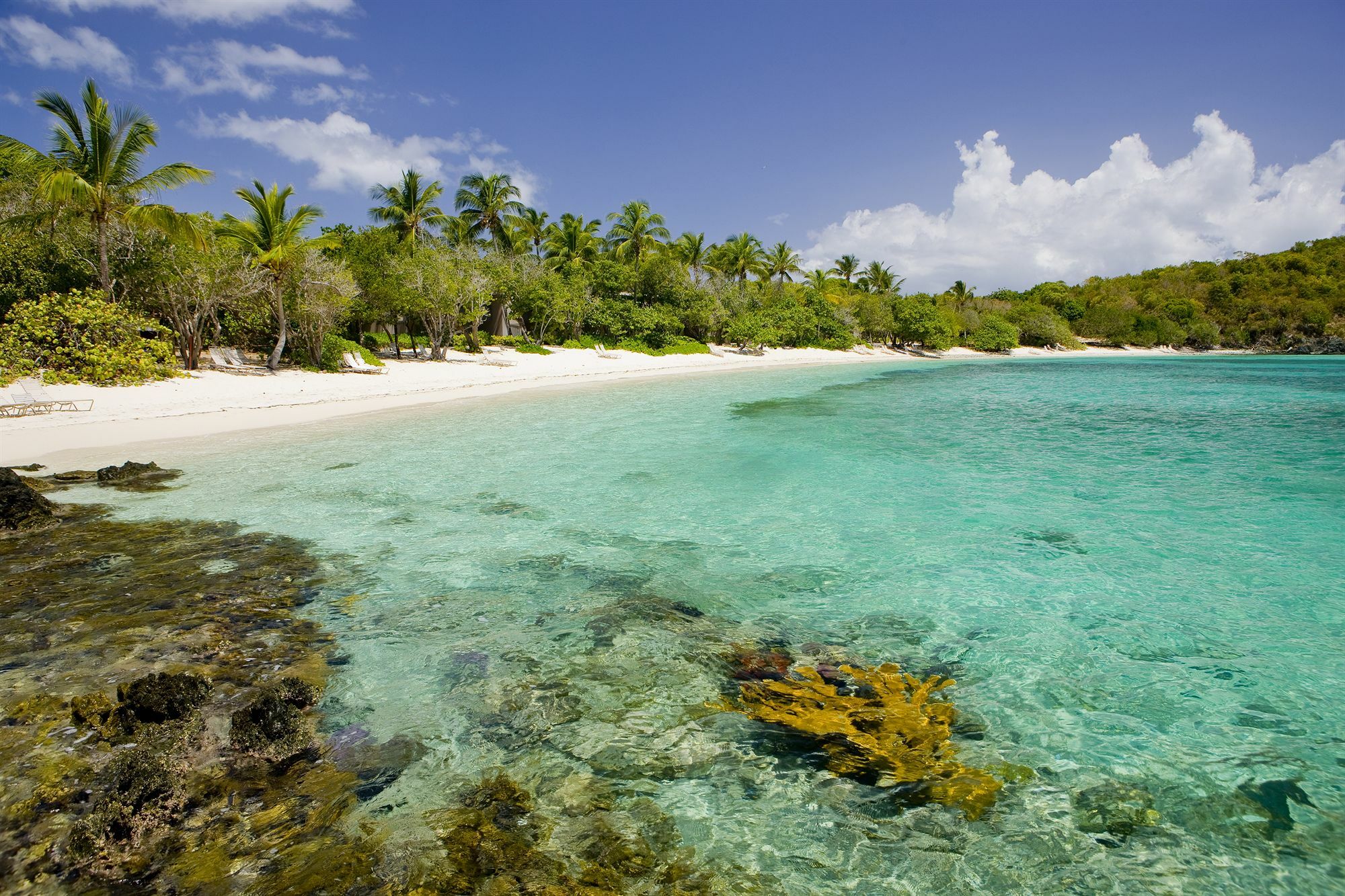 Caneel Bay Resort Cruz Bay المظهر الخارجي الصورة